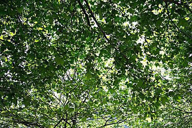 《暗黑破坏神3》国服即将重启 4月16日不删档测试