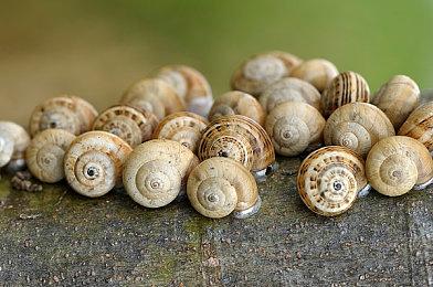 《如龙维新！极》新剧情预告 2023年2月22日正式发售