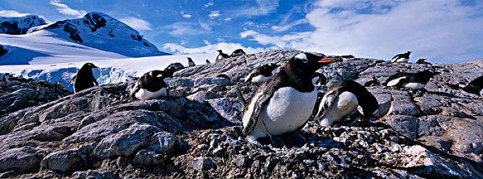 《暗黑破坏神3》国服技术测试现已结束 现已正式上线